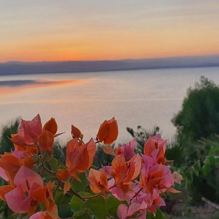 Comfy Stays Sea View Apartments At Deadsea Samarah Resort Sweimeh Eksteriør bilde