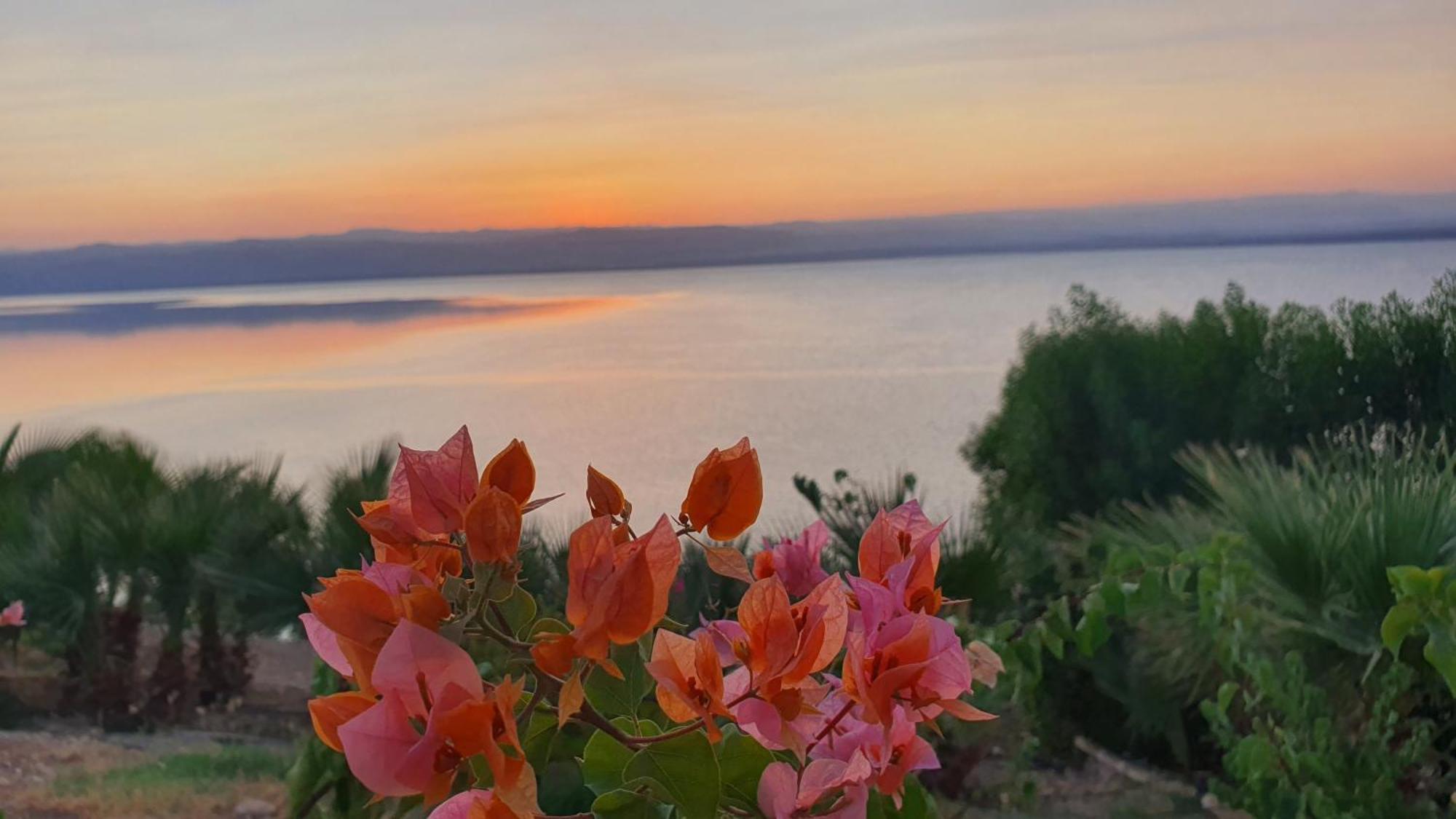 Comfy Stays Sea View Apartments At Deadsea Samarah Resort Sweimeh Eksteriør bilde