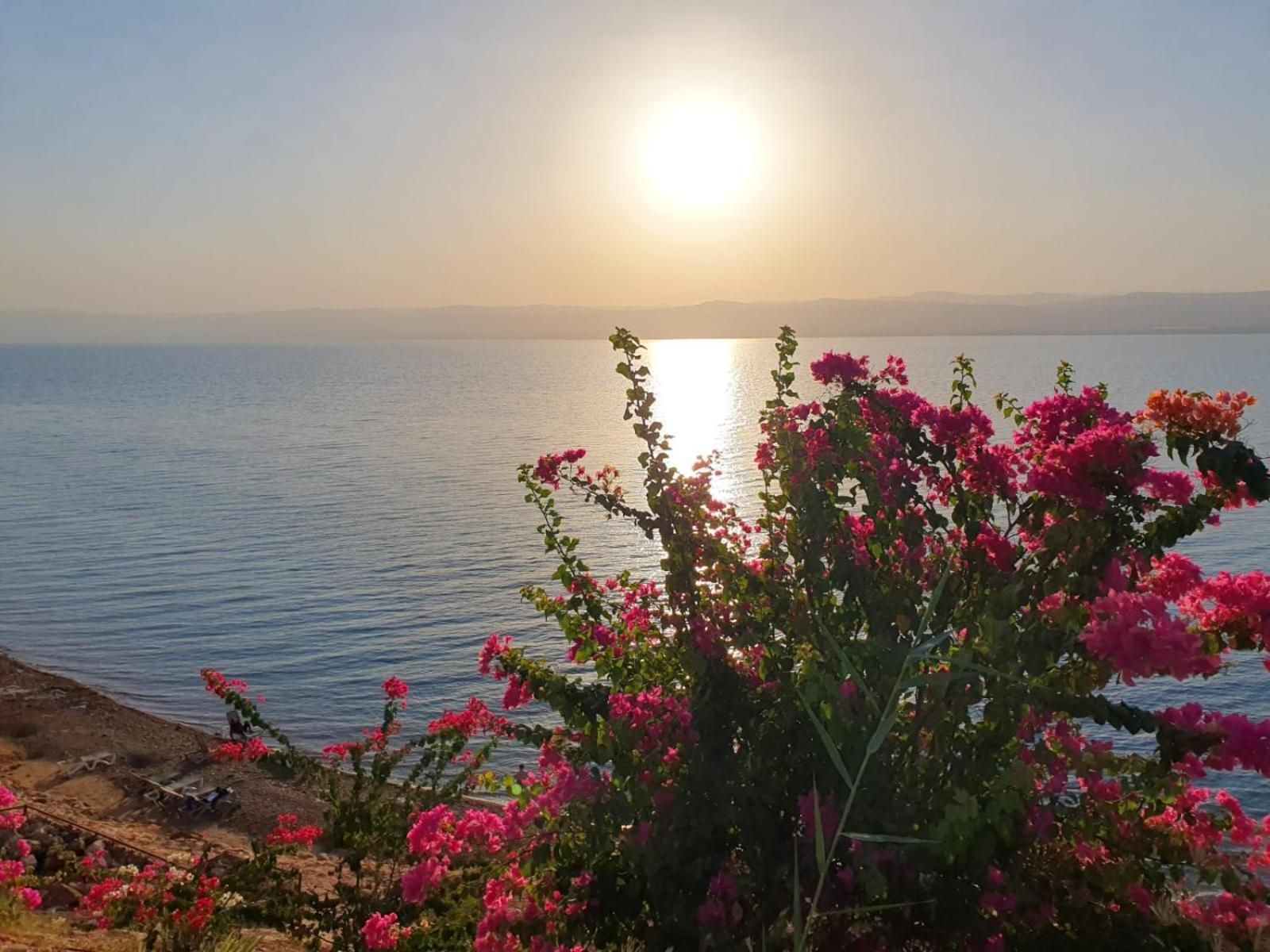 Comfy Stays Sea View Apartments At Deadsea Samarah Resort Sweimeh Eksteriør bilde